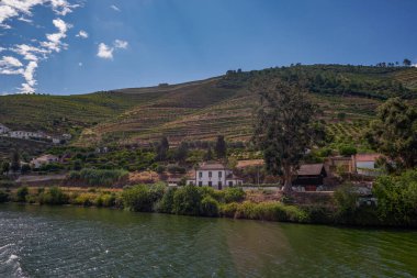 Douro Nehri Vadisi 'ndeki Cruise Boat' tan görüntü - Portekiz 'in dağlarında oyulmuş Çiftlik Terasları ile birlikte Port Wine Bölgesi
