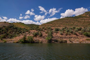 Douro Nehri Vadisi 'ndeki Cruise Boat' tan görüntü - Portekiz 'in dağlarında oyulmuş Çiftlik Terasları ile birlikte Port Wine Bölgesi