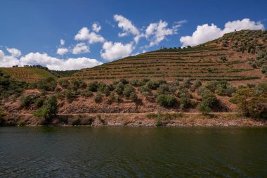 Douro Nehri Vadisi 'ndeki Cruise Boat' tan görüntü - Portekiz 'in dağlarında oyulmuş Çiftlik Terasları ile birlikte Port Wine Bölgesi