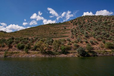 Douro Nehri Vadisi 'ndeki Cruise Boat' tan görüntü - Portekiz 'in dağlarında oyulmuş Çiftlik Terasları ile birlikte Port Wine Bölgesi