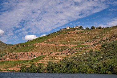 Douro Nehri Vadisi 'ndeki Cruise Boat' tan görüntü - Portekiz 'in dağlarında oyulmuş Çiftlik Terasları ile birlikte Port Wine Bölgesi
