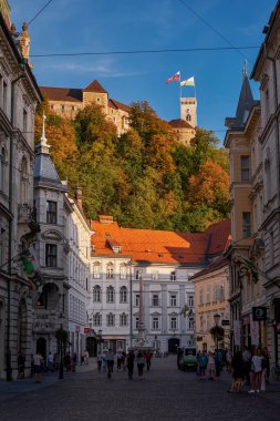 Slovenya 'nın Eski Ljubljana şehrindeki Güzel Binalar Tepedeki Kale