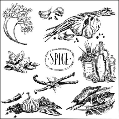 Çimli ve hoş kokulu bitkiler, baharatlar,