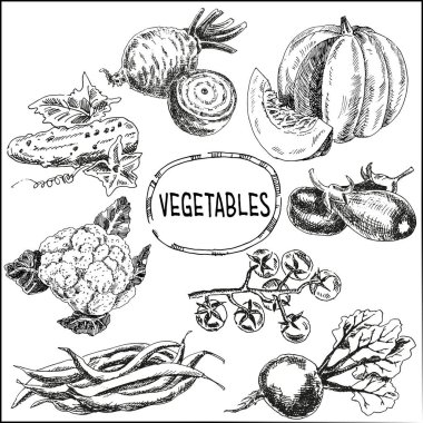 Sağlıklı beslenmek için farklı sebzeler.