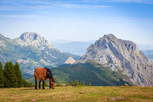 乌尔基亚拉自然公园 Urkiola Natural Park 是西班牙巴斯克地区的一个保护区 位于比斯开河东南角 熔岩位于巴斯克北部 — 图库照片