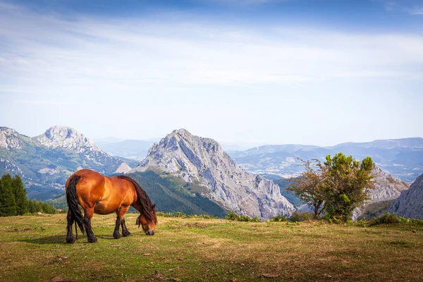 ウルキオラ自然公園 Urkiola Natural Park スペイン バスク北部のビスケーと溶岩の南東角に位置する保護地域である ロイヤリティフリーのストック写真