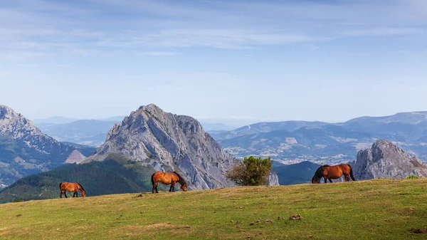 Urkiola Naturpark Ett Skyddat Område Som Ligger Sydöstra Hörnet Biscay — Stockfoto