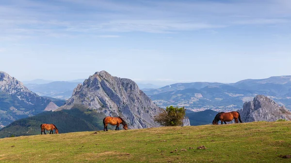 ウルキオラ自然公園 Urkiola Natural Park スペインの北バスク地方のビスケーと溶岩の南東角に位置する保護地域である 保護地域です ロイヤリティフリーのストック画像