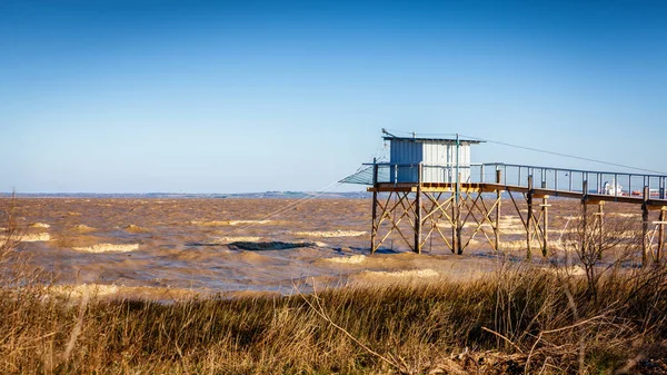 지롱데 에스쿠리어 Gironde Estuary 강변에 나무로 그들의 기능은 사각형 모양의 — 스톡 사진