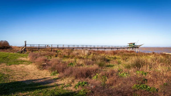 지롱데 에스쿠리어 Gironde Estuary 강변에 나무로 그들의 기능은 사각형 모양의 — 스톡 사진