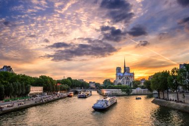 Notre Dame Katedrali, Fransa, Paris