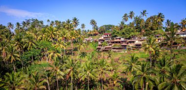 Muhteşem pirinç alan Ubud yakınındaki