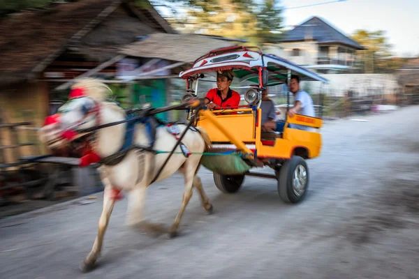 Cidomo en las islas Gili — Foto de Stock