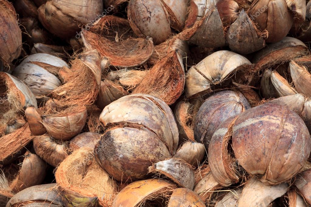 Brown coconut husk Stock Photo by ©zx6r92 83163004