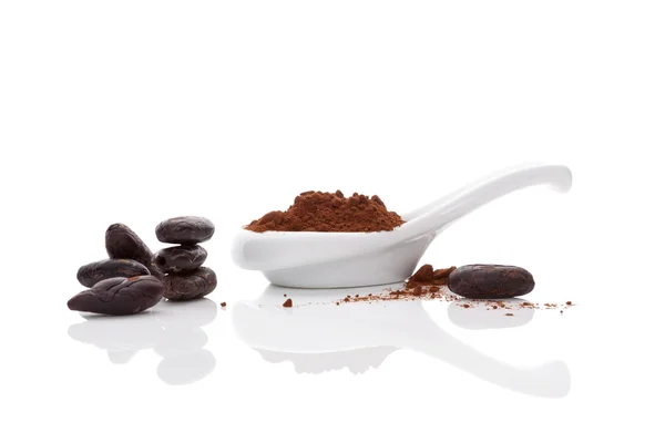 Kakao çekirdekleri ve kakao tozu. — Stok fotoğraf