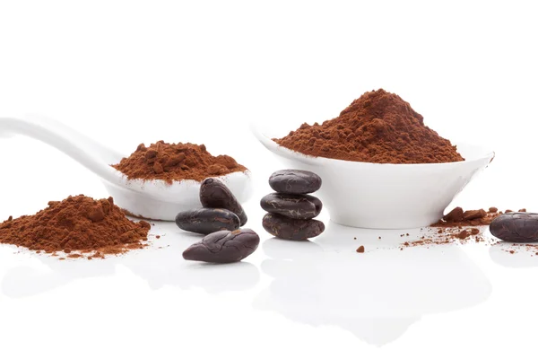 Cacaobonen en cacaopoeder. — Stockfoto