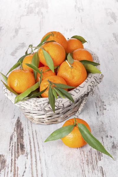 Mandarinka ovoce, provence styl. — Stock fotografie