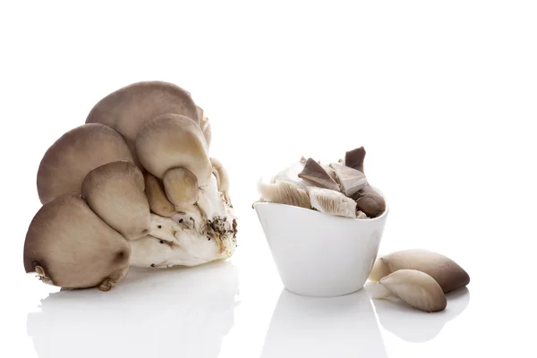 Funghi ostrica freschi . — Foto Stock