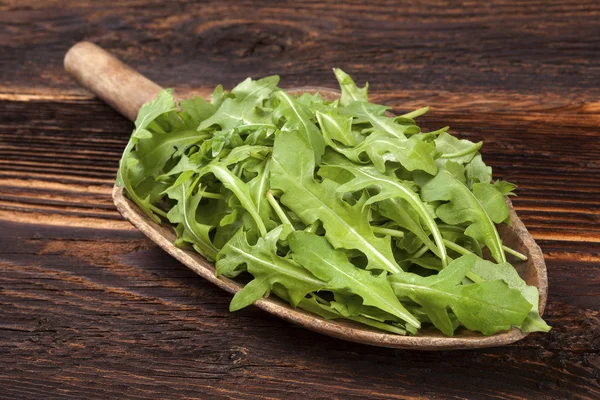 Salada de arugula fresca . — Fotografia de Stock