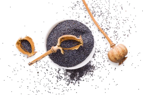 Black poppy seeds. — Free Stock Photo