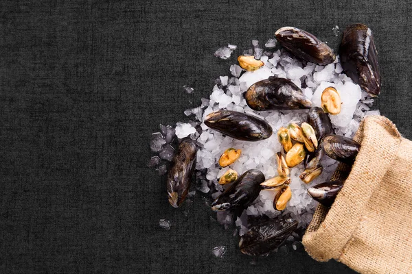 Lussuoso sfondo frutti di mare . — Foto Stock