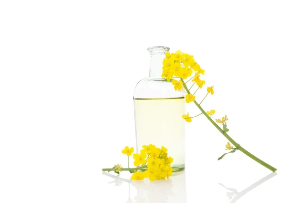 Řepkový olej a květina. — Stock fotografie