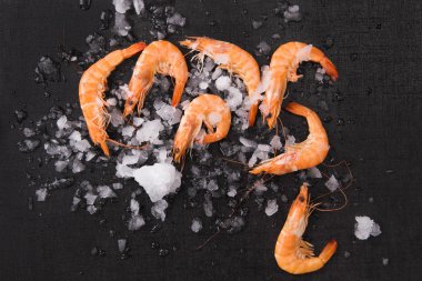 Siyah arka plan üzerine buz üstünde karides.
