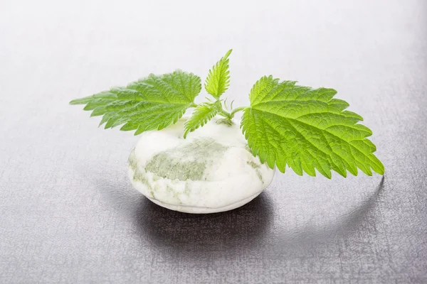 Stinging nettle cosmetics. — Stock Photo, Image