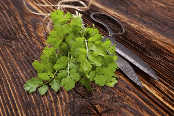 Verse koriander op houten tafel. — Stockfoto