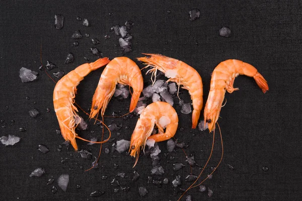 Shrimps auf Eis auf schwarzem Hintergrund. — Stockfoto