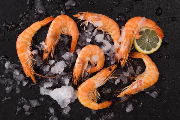 Shrimps auf Eis auf schwarzem Hintergrund. — Stockfoto