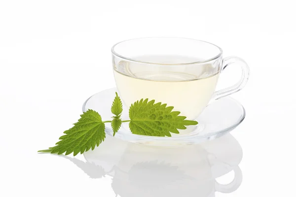 Stinging nettle tea. — Stock Photo, Image