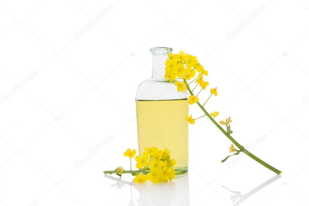 Rapeseed oil and flower.