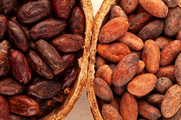 Bej Arkaplanda Kabuğu Soyulmamış Kavrulmuş Kakao Çekirdeğinin Ayrıntıları — Stok fotoğraf