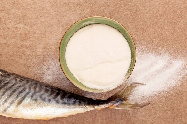 Polvere Collagene Bianco Coda Pesce Fresco Con Spazio Copia Dall — Foto Stock