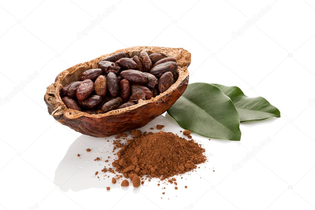 Fresh roasted cocoa beans in a pod with cocao powder isolated on white background. Superfood.