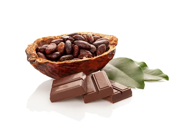 Beyaz Arka Planda Kakao Çekirdekleri Yapraklar Çikolata Içeren Kompozisyon — Stok fotoğraf