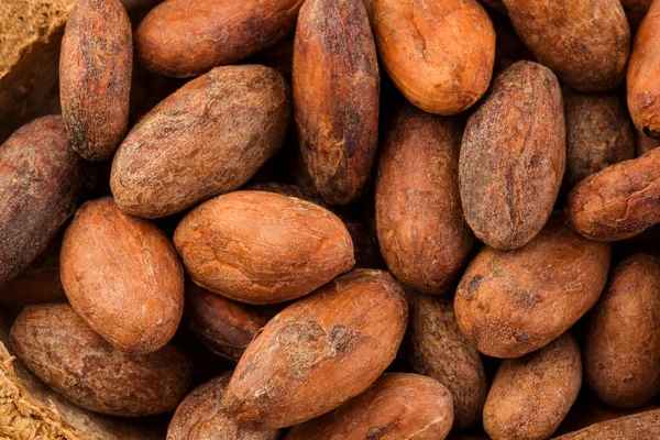 Yukardan Gelen Soyulmamış Kakao Çekirdekleri Süper Yemek — Stok fotoğraf