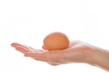 Beyaz üzerinde izole edilmiş bir yumurtayı tutan kadın. Kavramsal görüntü, doğurganlık ve gebelik.