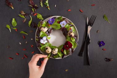 Bıldırcın yumurtası ve salata. Sağlıklı beslenme.