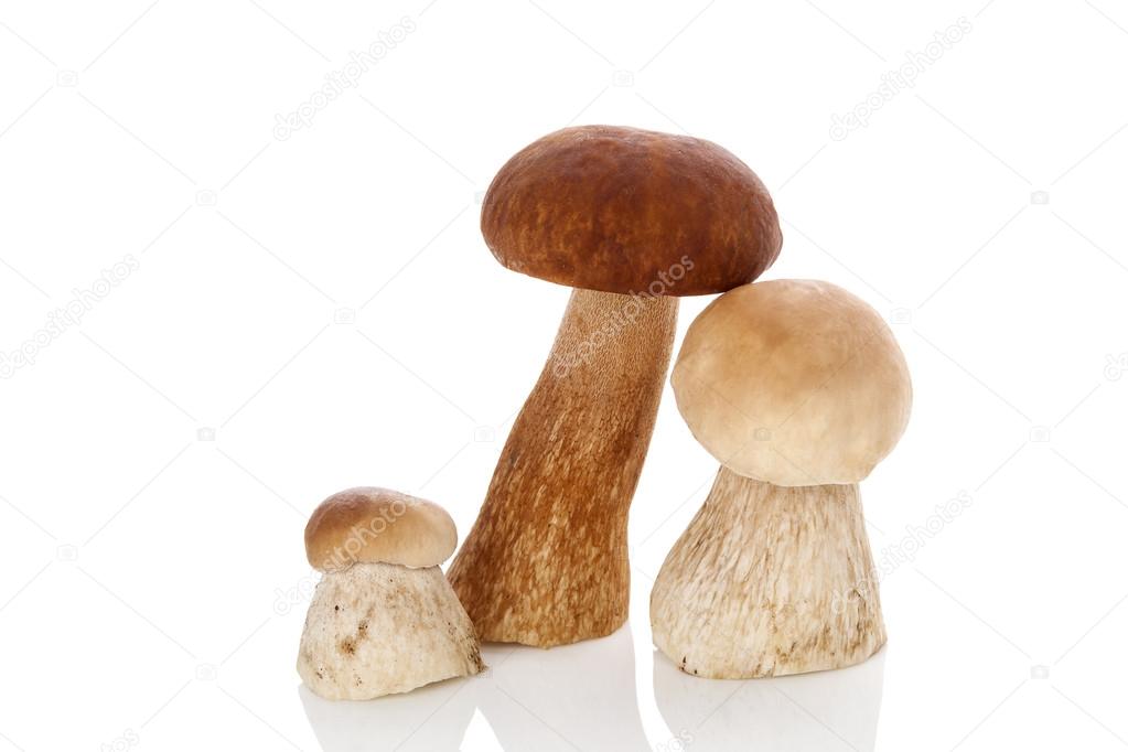eskymaks