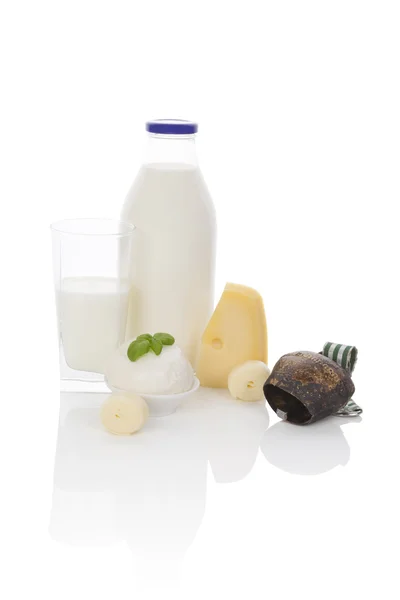 Mjölk och ost. — Stockfoto