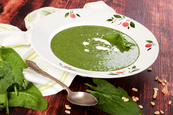 Heerlijke verse spinazie soep — Stockfoto