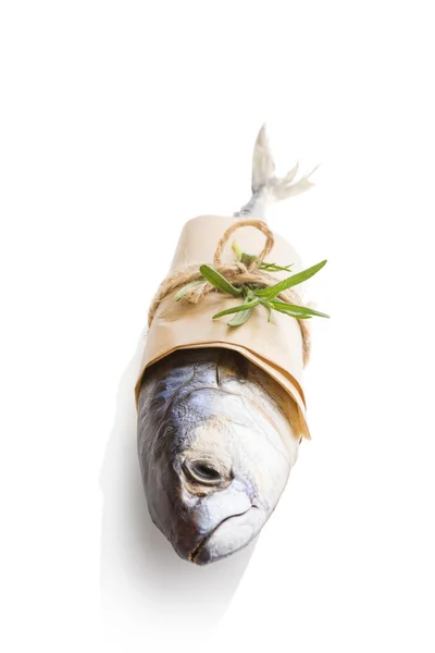 Fresh mackerel fish — Stock Photo, Image