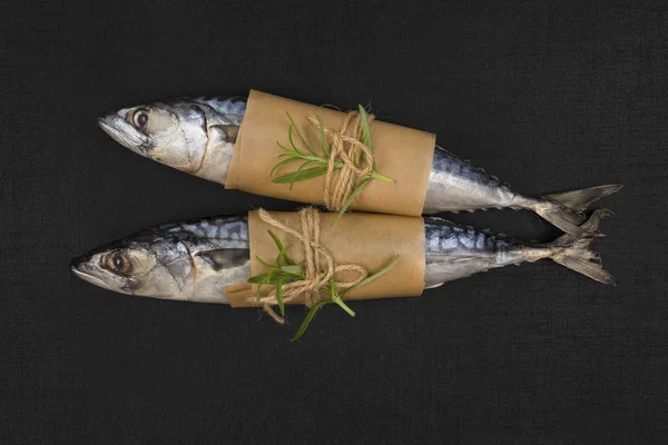 Two fresh mackerel fish — Stock Photo, Image