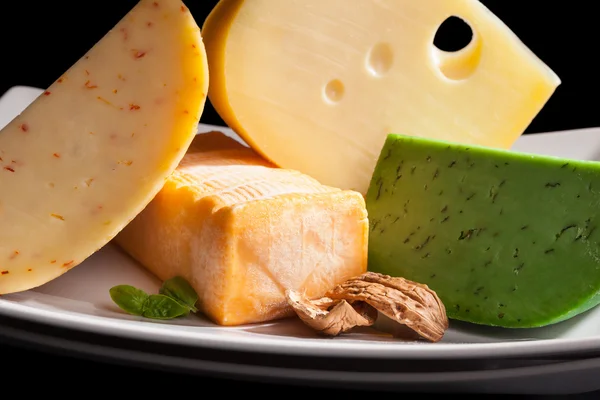 Culinary cheese variation close up. — Stock Photo, Image