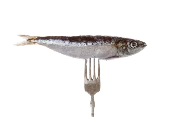 Pescado en tenedor . —  Fotos de Stock