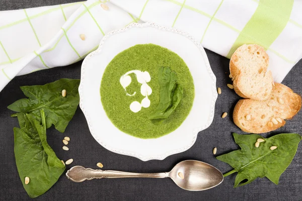 Leckere Spinatsuppe. — Stockfoto