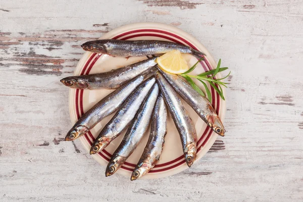 Fresh sardines on plate. — Stock Photo, Image