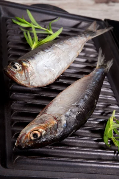 Fresh fish on roast. — Stock Photo, Image